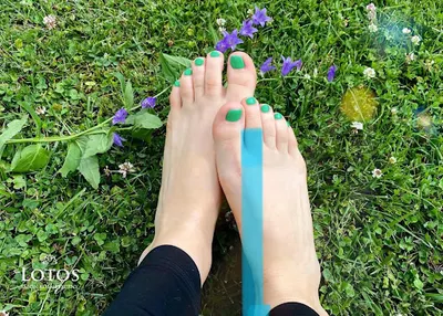 Salon Kosmetyczny LOTOS Depilacja Laserowa, Podologia